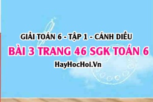 Giải bài 3 trang 46 Toán 6 Tập 1 SGK Cánh Diều